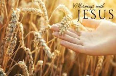 Harvest 2021